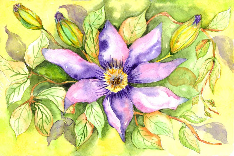 Clematis vine on trellis stock illustration. Illustration of purple 43141443