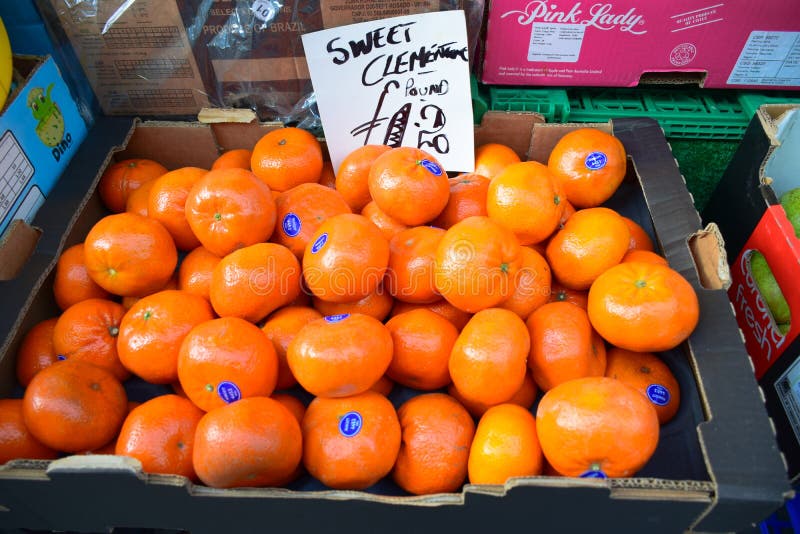 Clementina dulce fresca que vende en el mercado de Portobello en el camino de Portobello, Notting Hill, Reino Unido imagen de archivo Clementina dulce fresca que vende en el mercado de Portobello en el camino de Portobello, Notting Hill, Reino Unido imagen de archivo