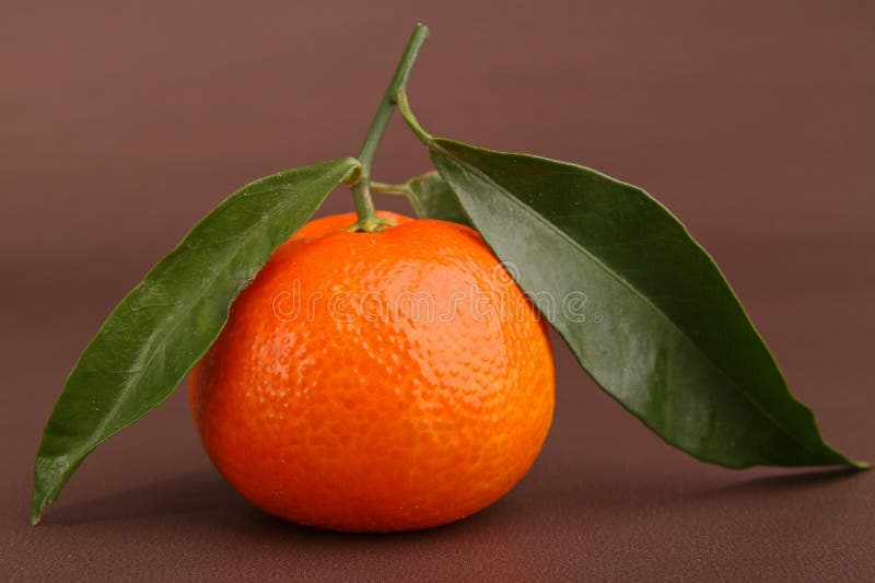 Clementine stock image. Image of clementine, healthy 17119105