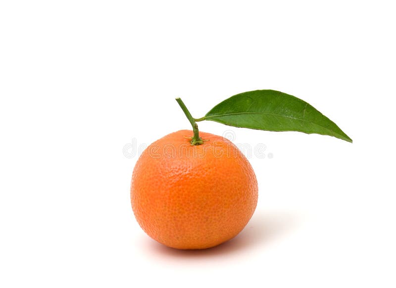 Clementine stock photo. Image of beautiful, deposit, isolated 17386126