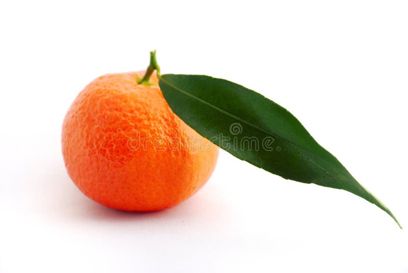 Clementine orange stock photo. Image of healthy, food 18334286