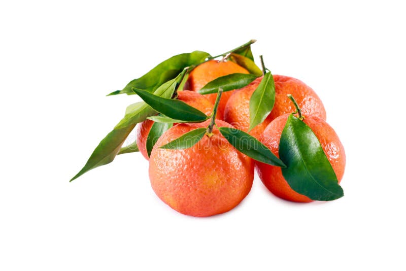 Clementines with Green Leaves Stock Photo Image of oranges, healthy