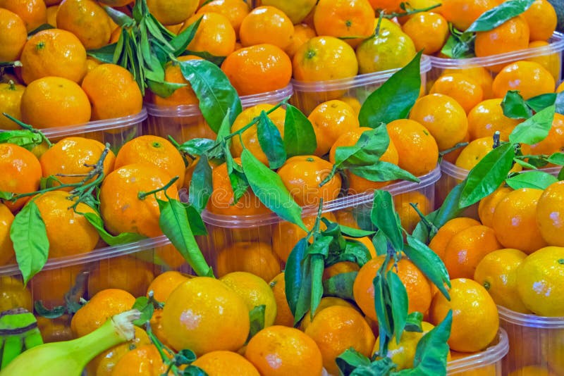 Clementines for Sale at Market Stock Photo Image of citrus, flora