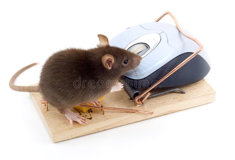 Clever Mouse