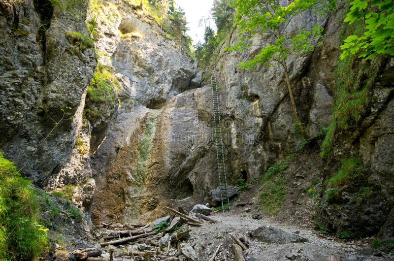 Cliff with ladder in Slovak Paradise