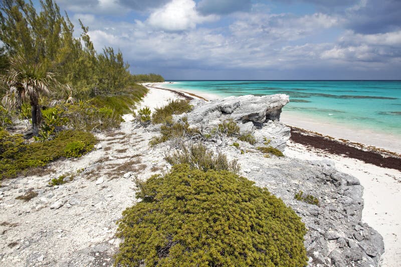 View of Lighthouse Beach from cliff. View of Lighthouse Beach from cliff