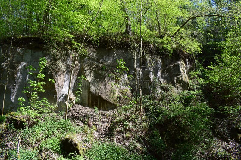Cliff in the Wolfsschlucht during spring stock photos