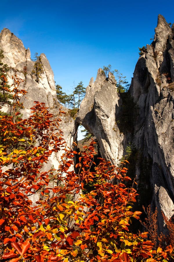 Cliffs draped in autumn leaves