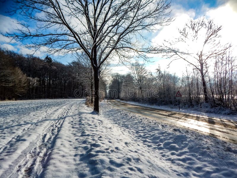Clima Frío En Invierno En El Norte De Alemania Foto de archivo - Imagen de  paisaje, invierno: 214053090