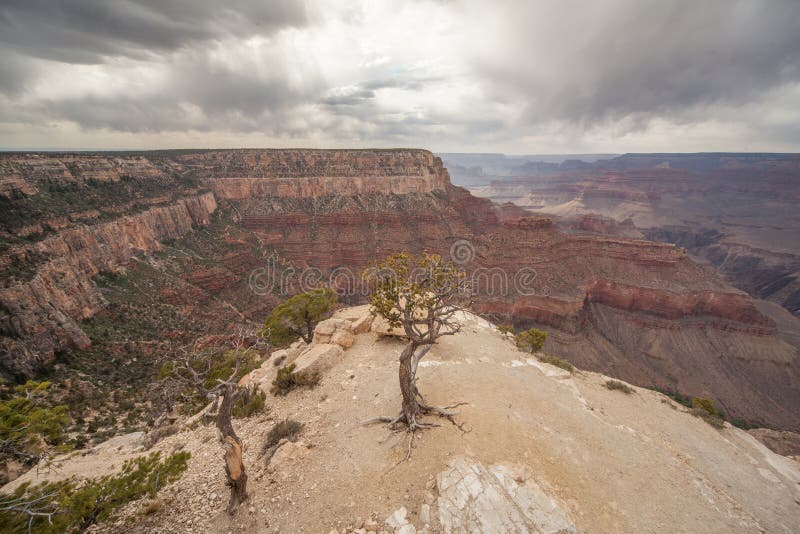 A dramatic scene from the Grand Canyon, a storming approaching and a lonely on the arid and rocky surface. A dramatic scene from the Grand Canyon, a storming approaching and a lonely on the arid and rocky surface.