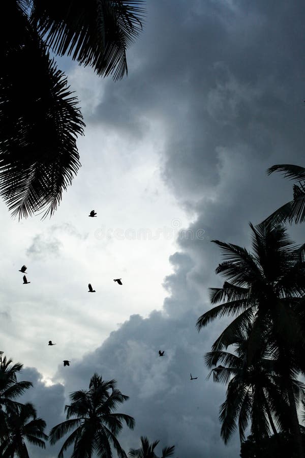 Climate couldy day in kerala