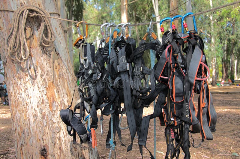 Climbing Harnesses and Rope Ready for Fun! Stock Image Image of