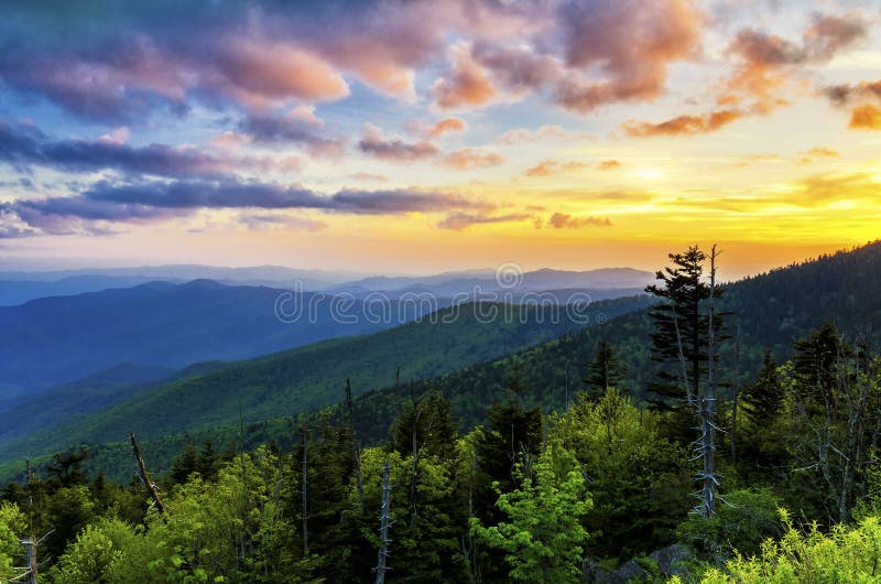 Clingmans Dome, Great Smoky Mountains, tennessee