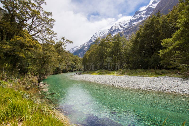 Clinton River, pista de Milford, parque nacional de Fiordland, Southland fotos de archivo libres de regalías Clinton River, pista de Milford, parque nacional de Fiordland, Southland fotos de archivo libres de regalías