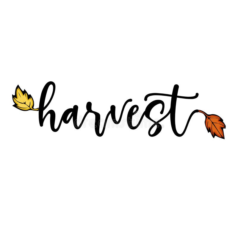 Autumn Harvest Design Stock Vector Illustration Of Farm 253219165 autumn-harvest-design-stock-vector-illustration-of-farm-253219165