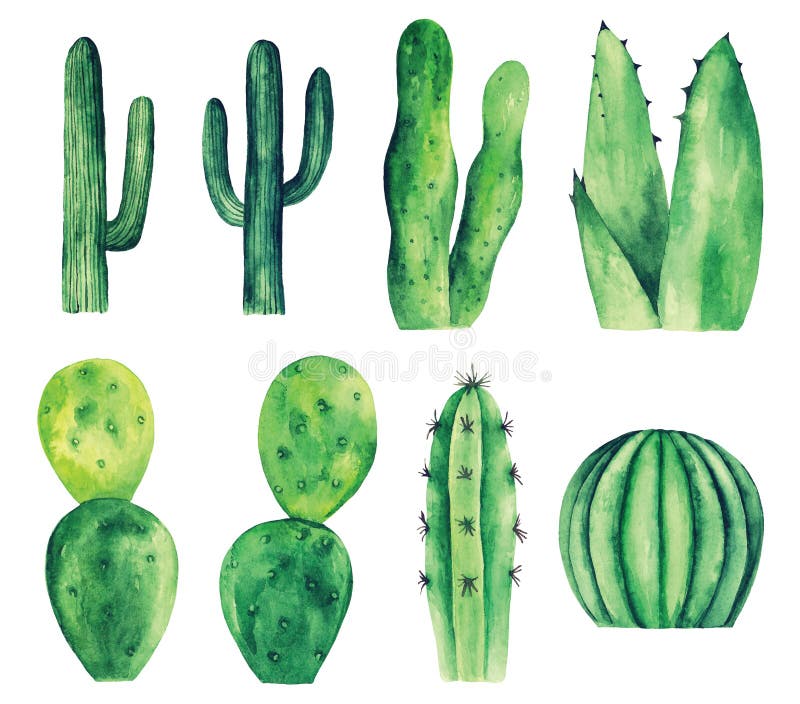 Cacto Verde Bonito E Pote Clipart Vector Png Elemento PNG , Cactus