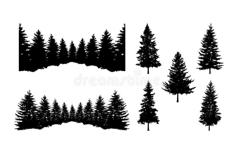 Clipart. silueta de bosque de pinos
