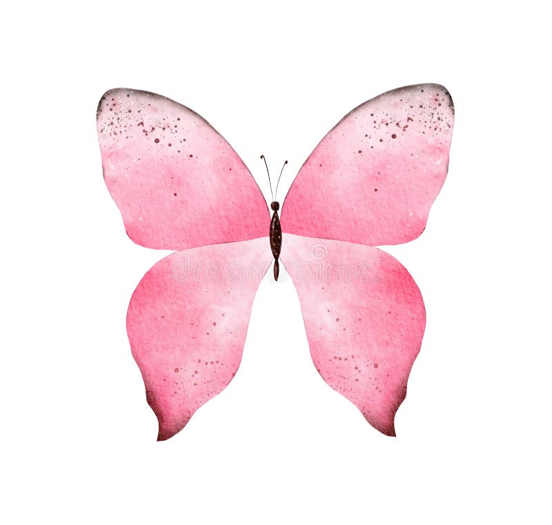 Cliparte De Mariposa De Color Rosa Pintado a Mano Sobre Fondo Blanco Stock  de ilustración - Ilustración de brillante, mariposa: 253514052