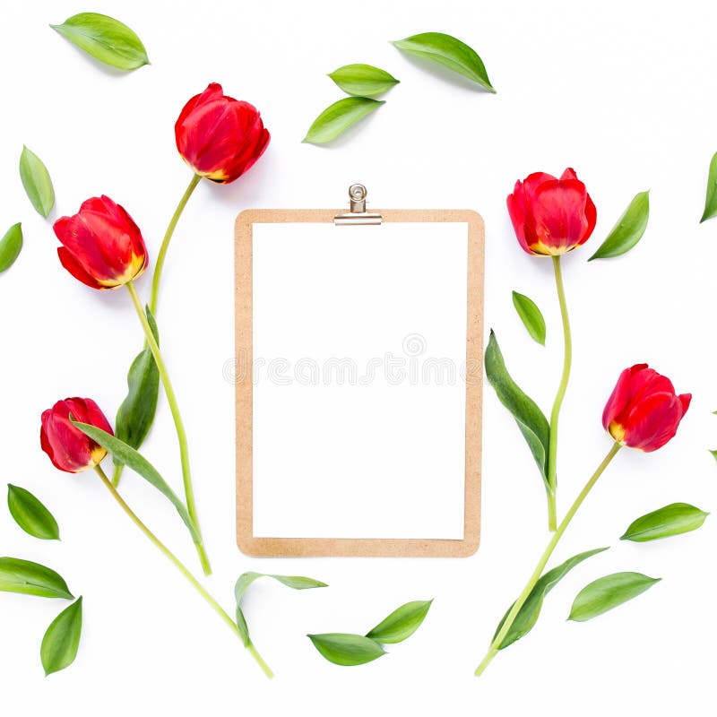 Clipboard mock up with beautiful red tulips isolated on white background. Flat lay, top view. Minimalistic office desk