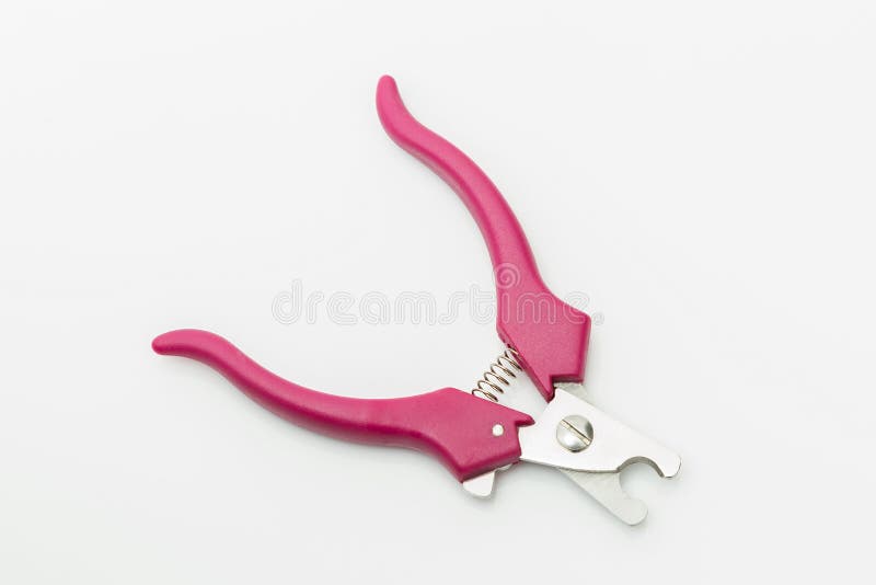 dog leash to prevent pulling