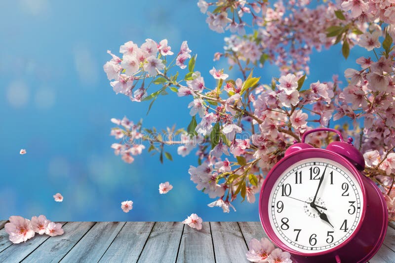 Clock and spring cherry flowers - daylight savings concept