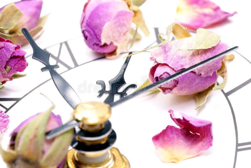 Clocks And Roses. Stock Image Image 17074131