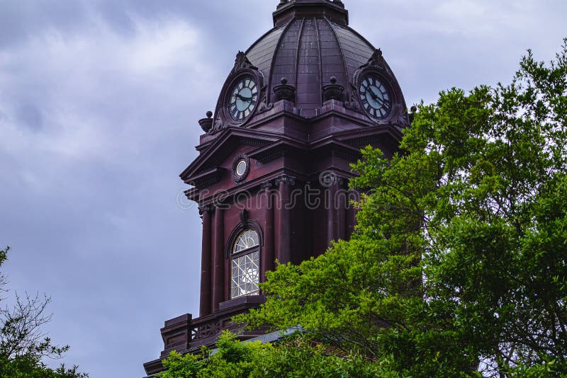 Clocktower of Newnan, Courthouse Behind Trees with Blue Sky