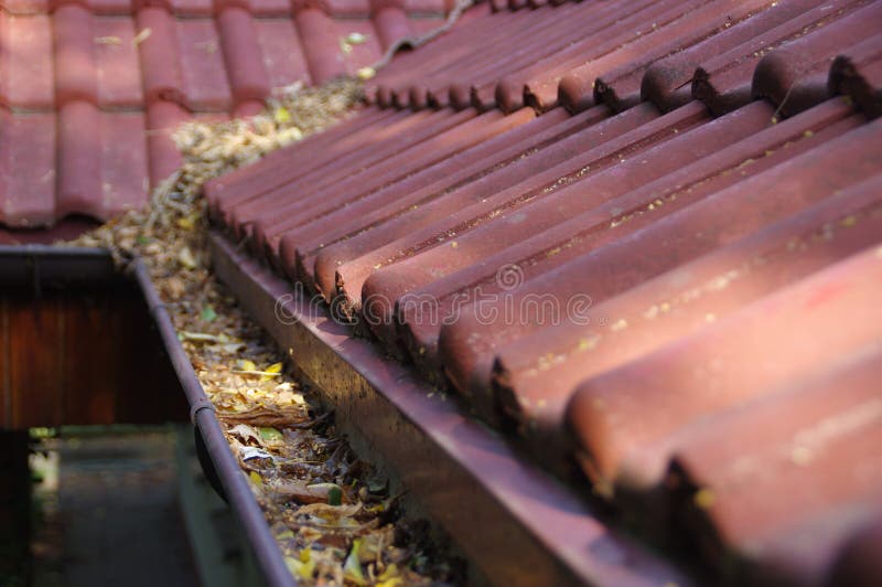 Clogged gutter stock photography