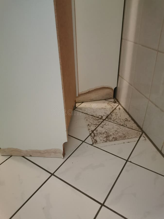 Clogged Sewage Drain Pipe, Causing a Damage Stock Photo Image of home