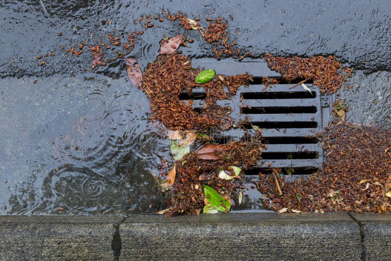 Clogged a Street Drain during a Rain Storm Stock Image Image of gold