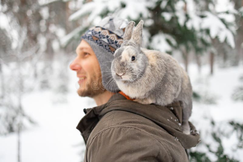 192 Rabbit Shoulder Stock Photos - Free & Royalty-Free Stock Photos from Dreamstime 192 Rabbit Shoulder Stock Photos - Free & Royalty-Free Stock Photos from Dreamstime