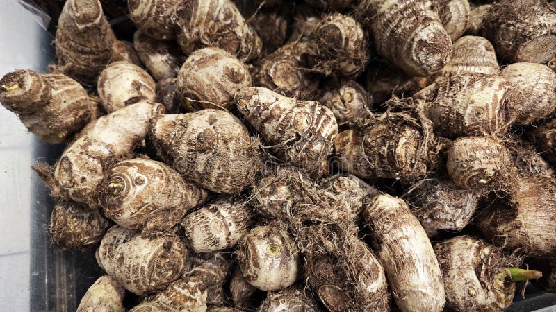 Close shot of the bundle of furry skin dioscorea esculenta. stock image