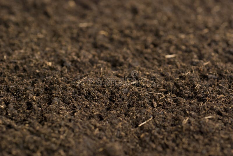 Close To the Seeding Material. (peat Moss) Stock Photo Image of
