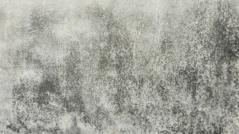Weathered Concrete Wall with Black Mold Texture