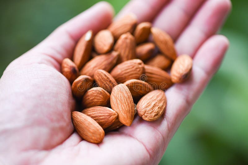 Close up almond nuts natural protein food and for snack - Almonds in hand nature green background