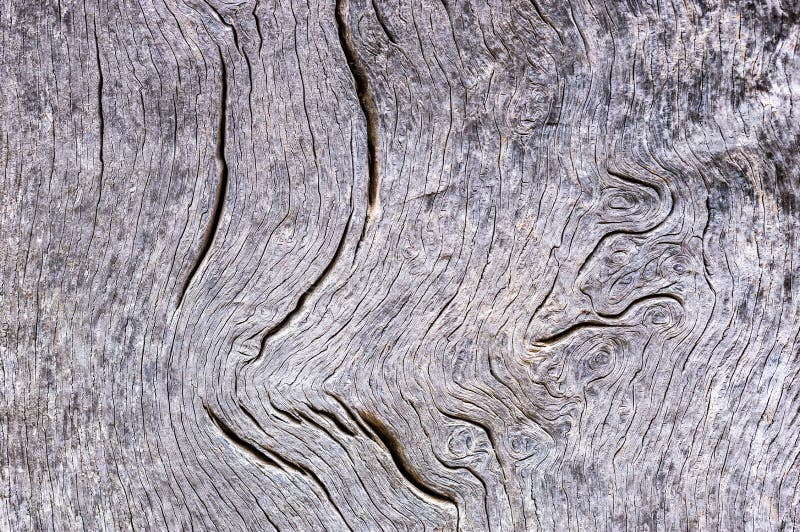 Closeup of Ancient Gray Wood Grain Texture Stock Image Image of paneling, backgrounds 132532981