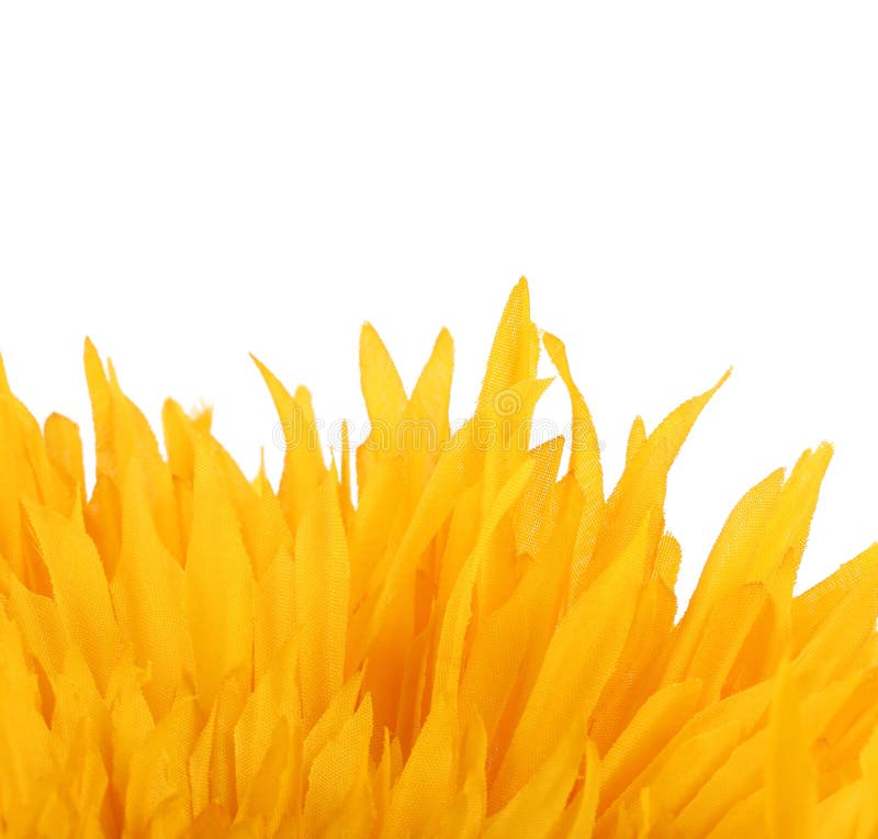 Close Up of Artificial Yellow Flower Petals. Stock Photo Image of