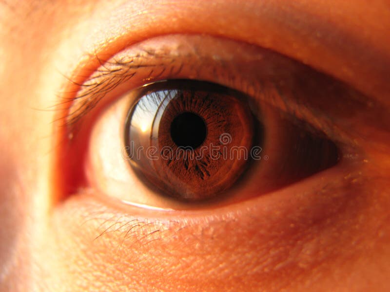 Close-up of asian eye stock photo. Image of crystal, eyed - 12802884