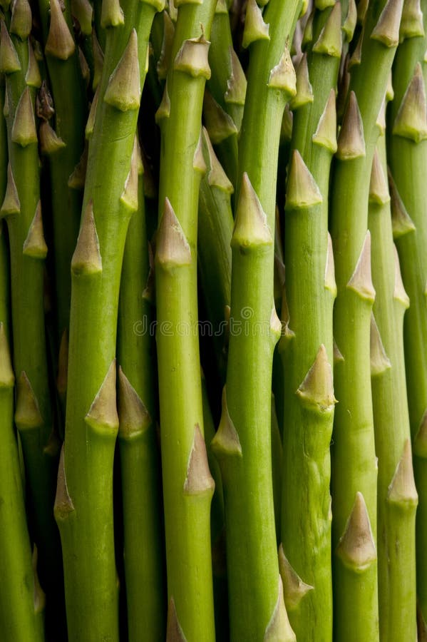 Close-up of asparagus