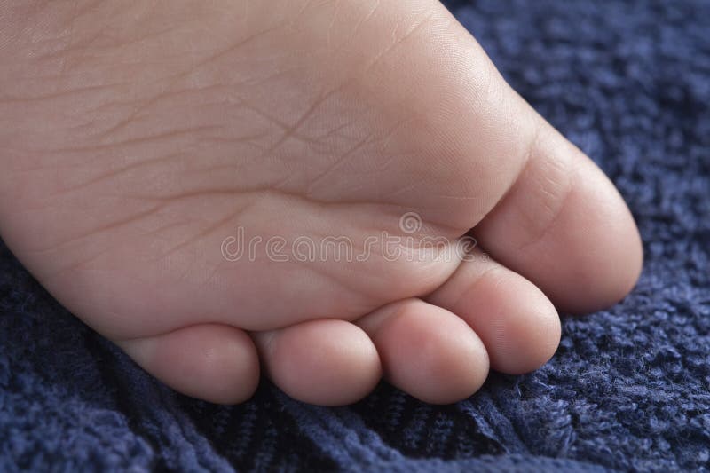 Closeup of baby boy leg stock image. Image of focus 36256541