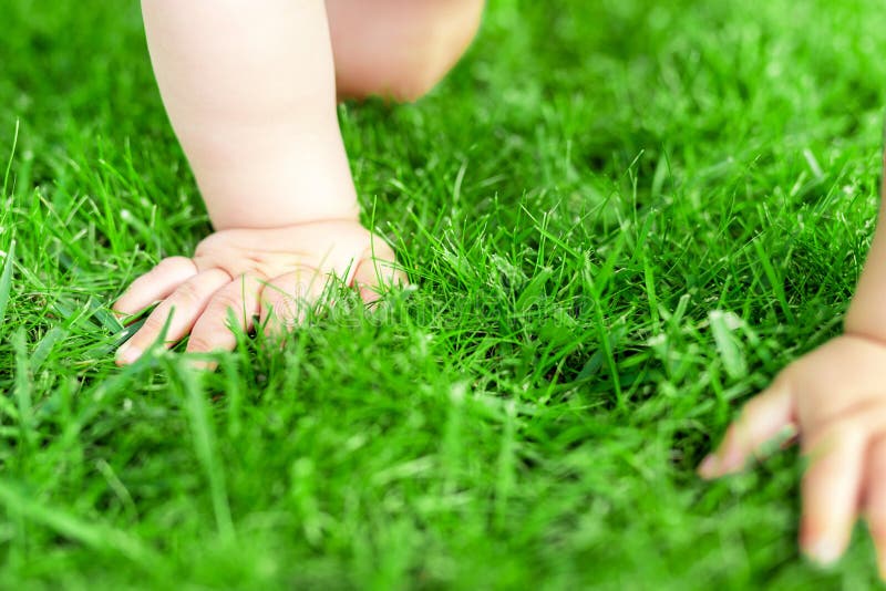 Close-up baby crowling through green grass lawn. Details infant hand walking in park . Child discovering and exploring nature and
