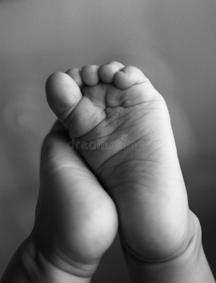 Baby feet stock image. Image of macro, toes, children 7907519