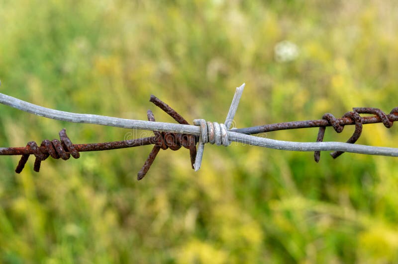 Close-up. barbed wire in front of a green grass royalty free stock photos Close-up. barbed wire in front of a green grass royalty free stock photos