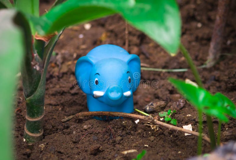 Close up of A beautiful blue toy elephant for kids placed on a soil, small plants around. Selective focus