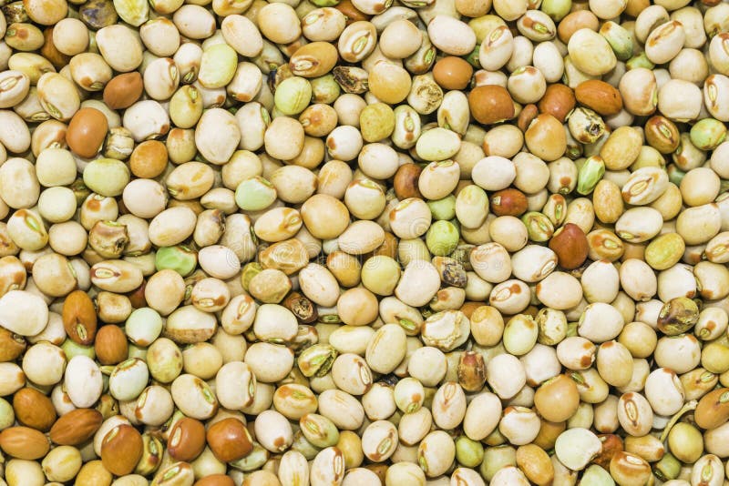 Close up of beautiful,colorful dried kidney beans on a table royalty free stock image Close up of beautiful,colorful dried kidney beans on a table royalty free stock image