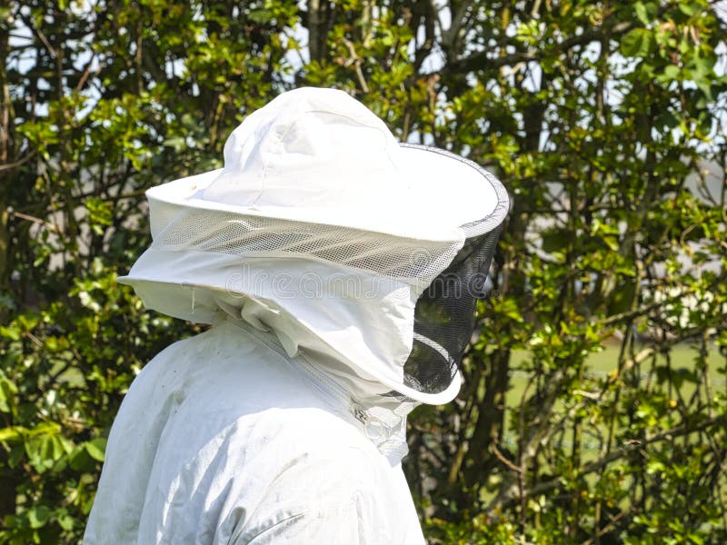Close up beekeeper working in the apiary. Beekeeping concept. Beekeeper harvesting honey royalty free stock image