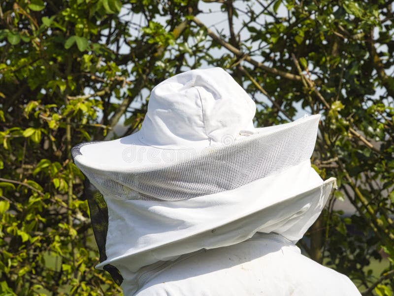 Close up beekeeper working in the apiary. Beekeeping concept. Beekeeper harvesting honey royalty free stock photos