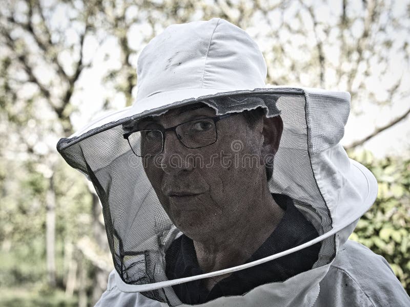 Close up beekeeper working in the apiary. Beekeeping concept. Beekeeper harvesting honey royalty free stock images