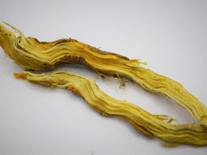 Close Up Of Berberis Barberry Root Cut In Half To Show Yellow Pigment ...