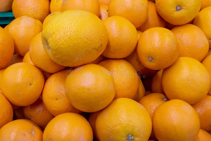 Oranges At Market Stock Photo Image Of Agriculture Tourist 1110538